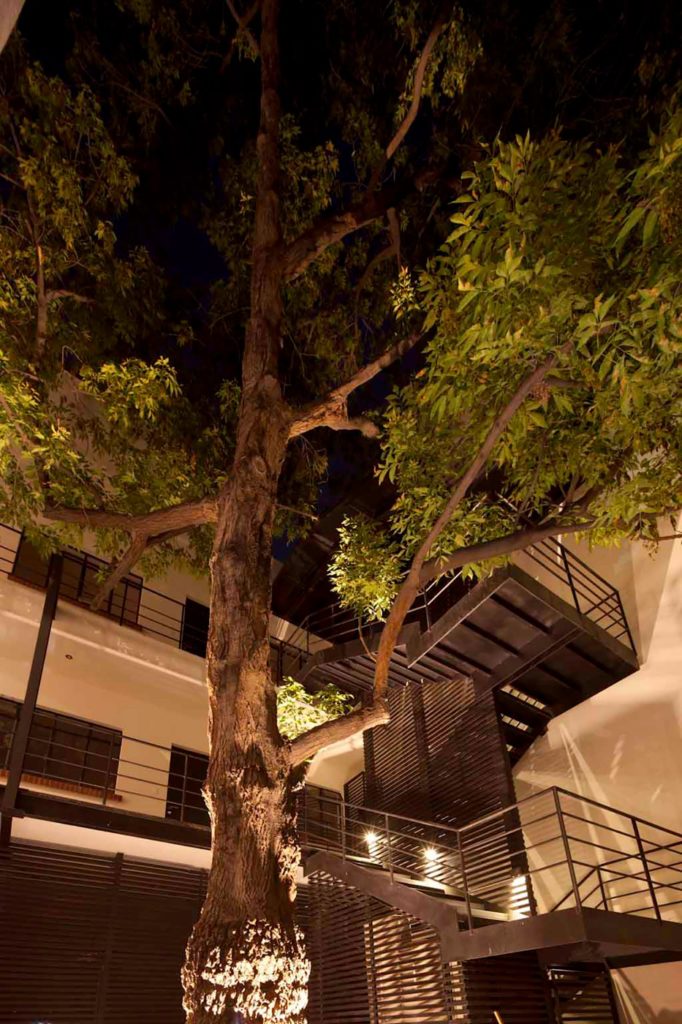 Taller ADG arquitectura