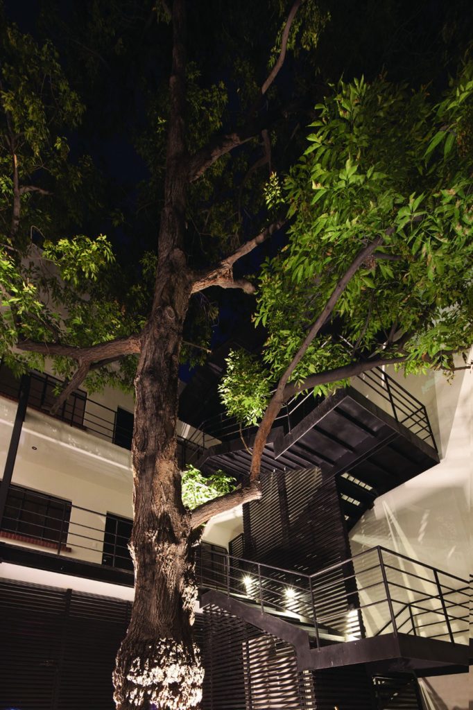 Taller ADG arquitectura